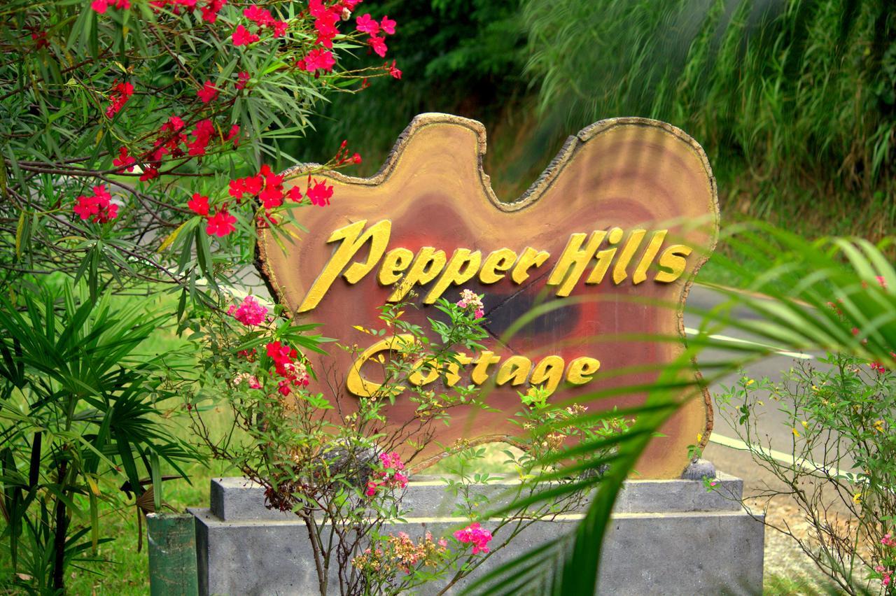 Pepper Hills Cottages 埃拉 外观 照片
